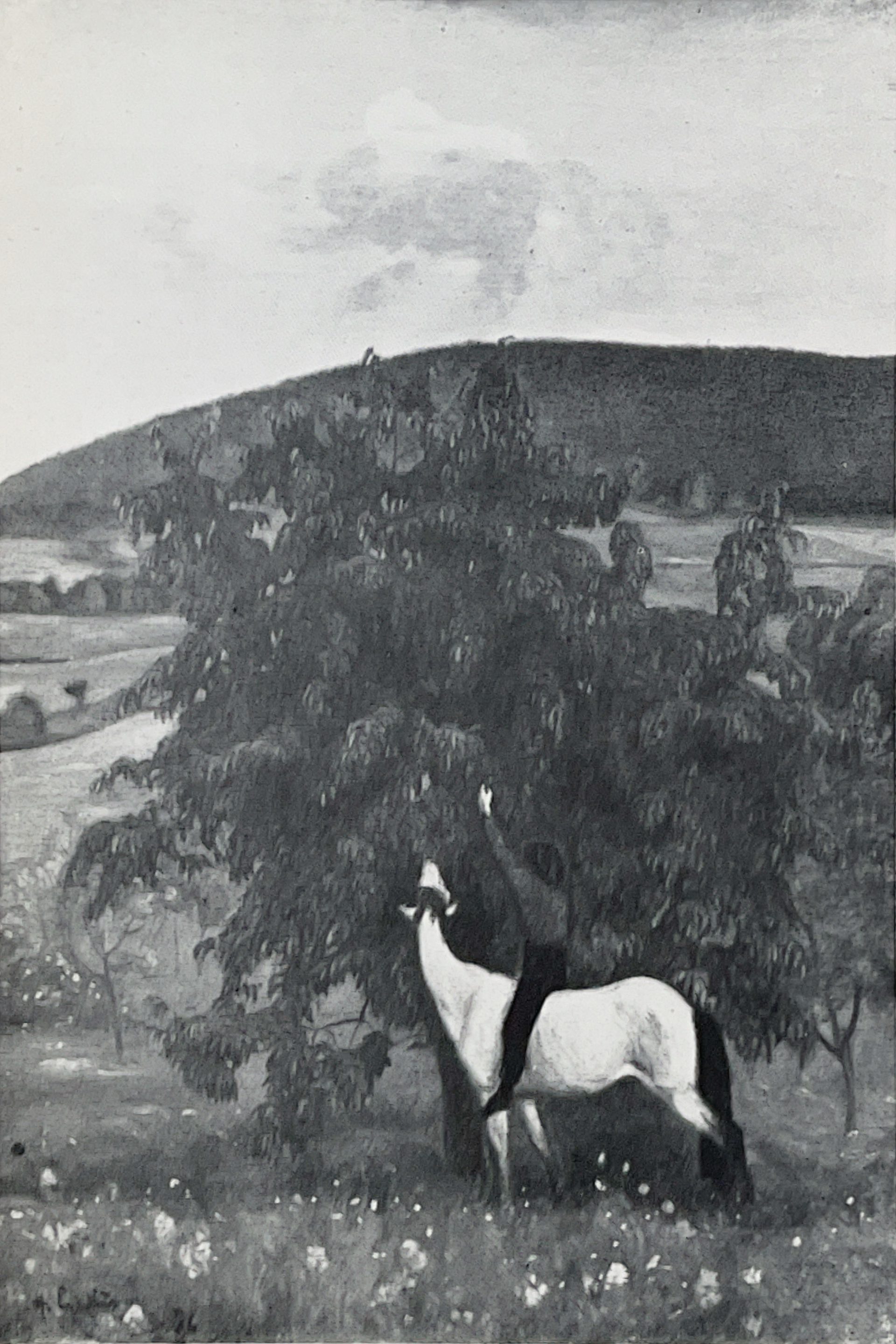 1947 Halvdan Egedius verksbilde 3