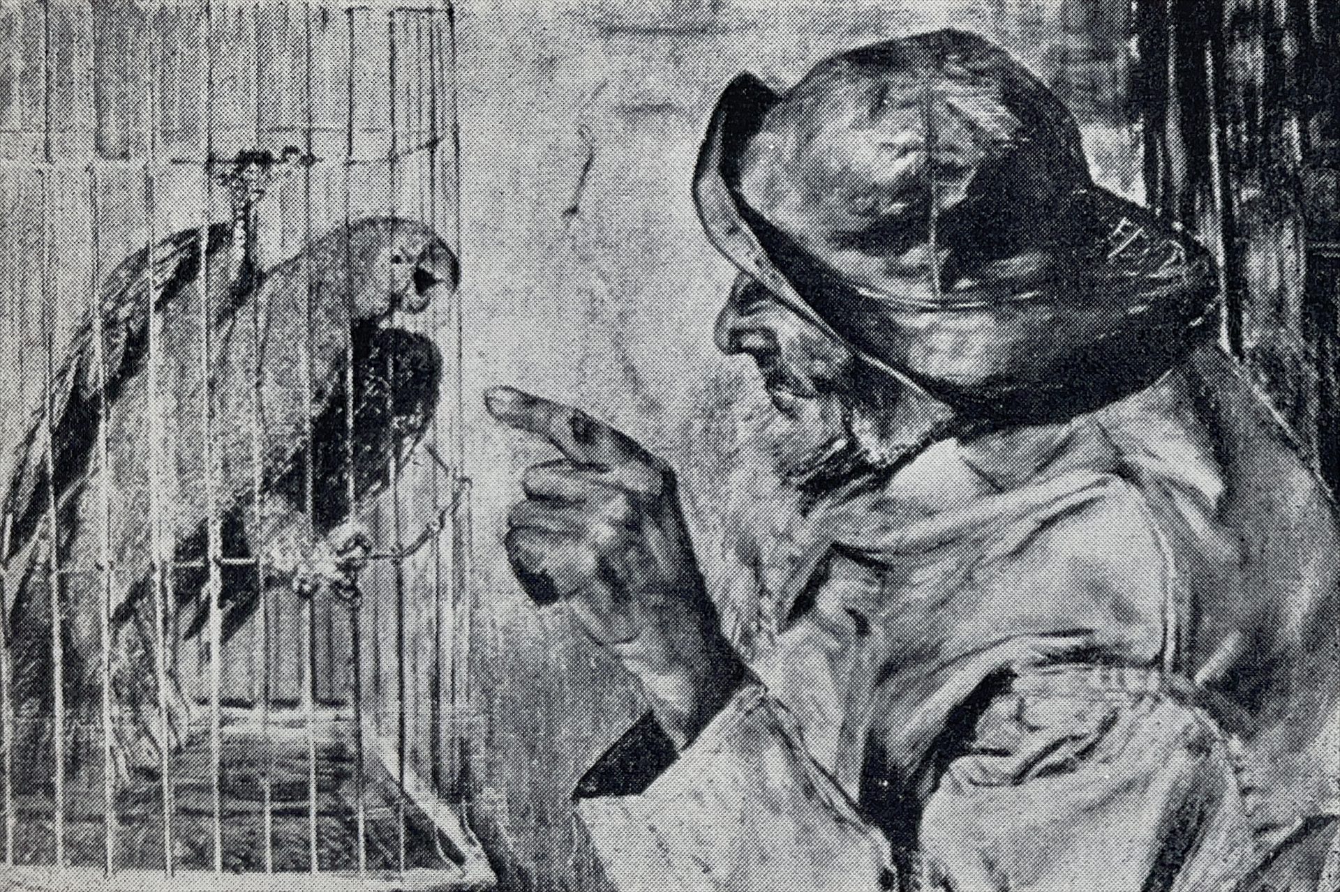 1952 Christian Krohg Maleri 14