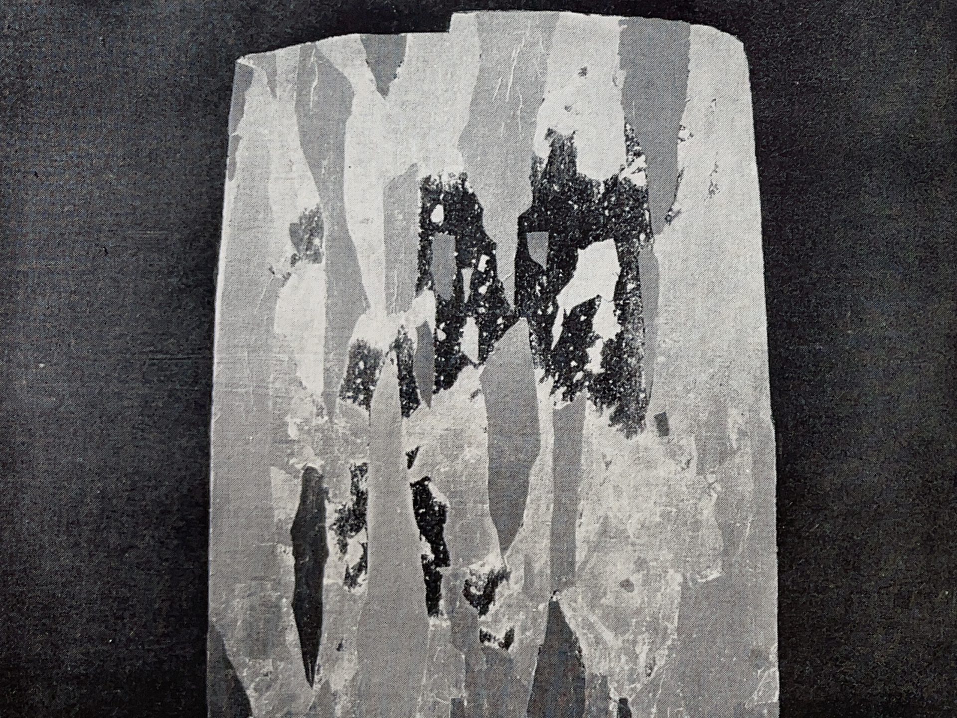 1966 Anna Eva Bergman 7