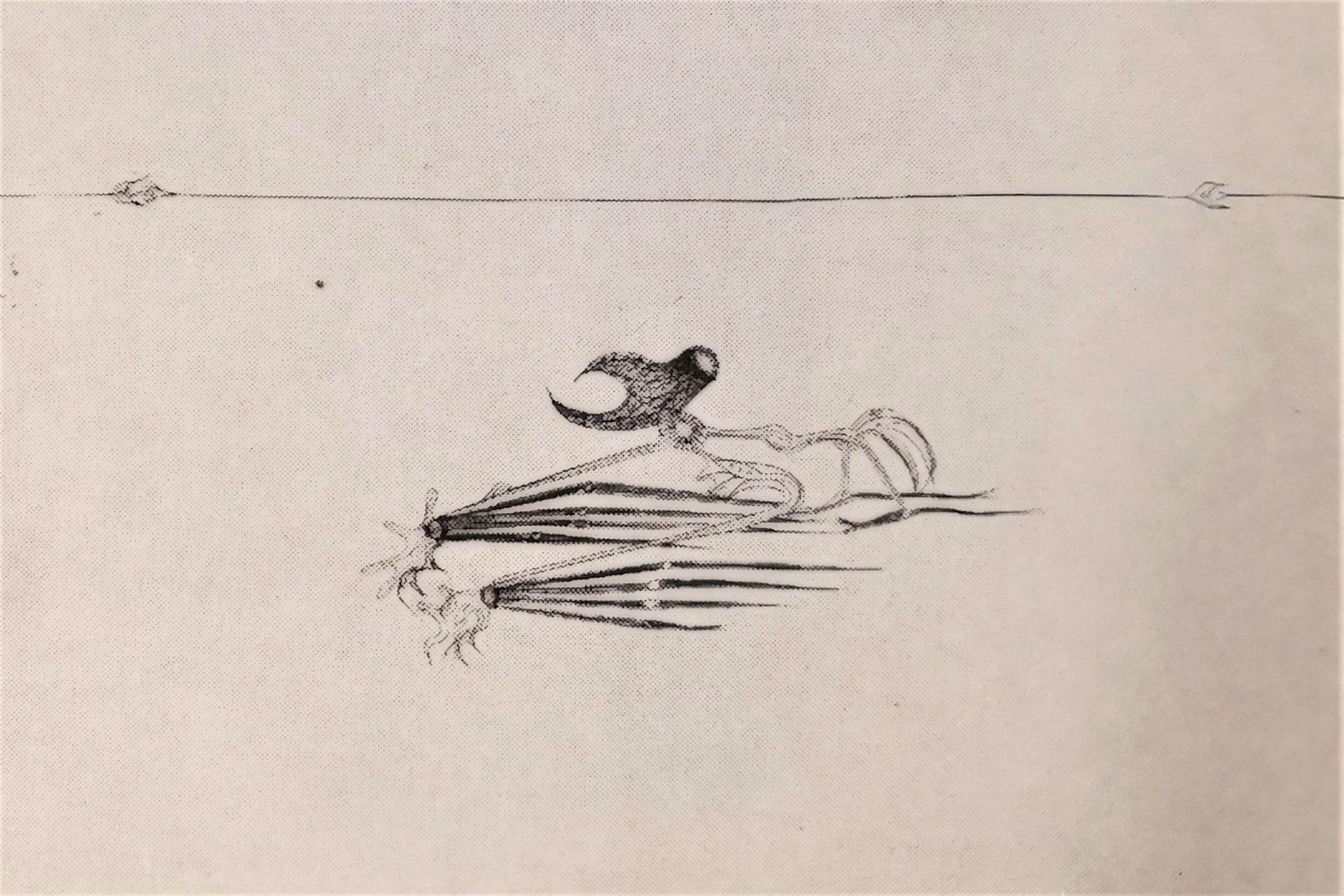 1969 Atelier Nord 3 Hedy Louise Lotherington