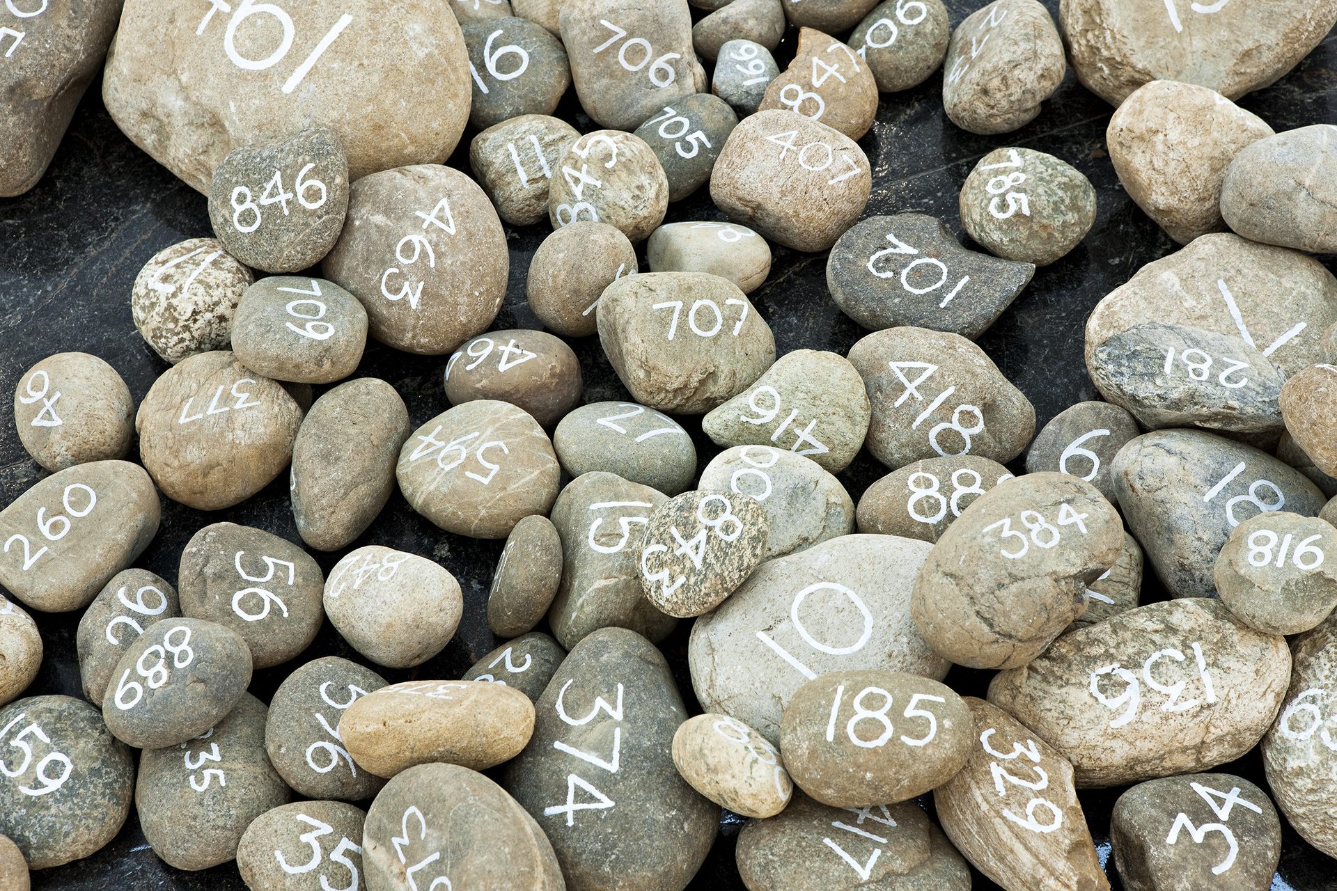 2010 Wallinger Kleven C9T6717