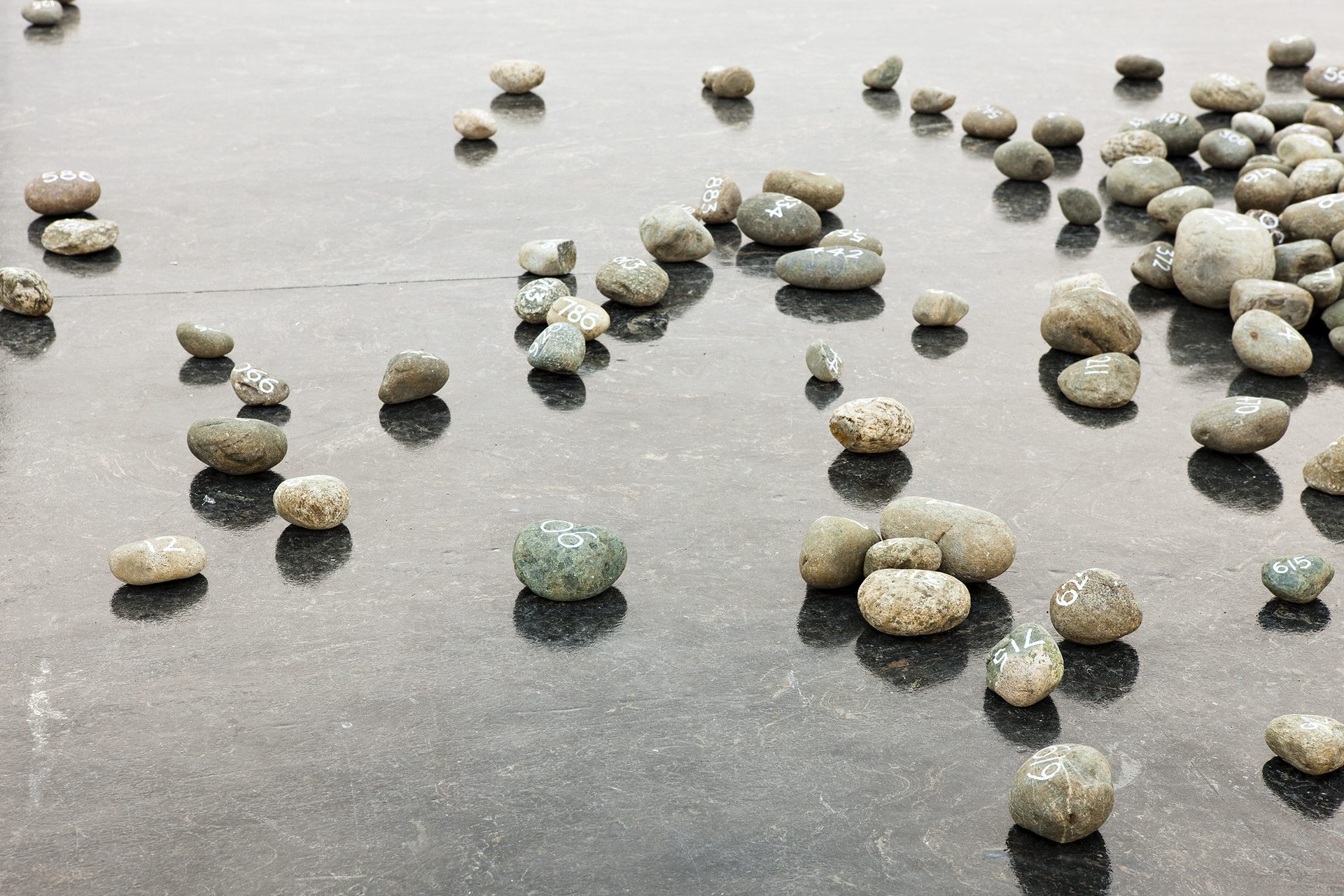 2010 Wallinger Kleven C9T6723