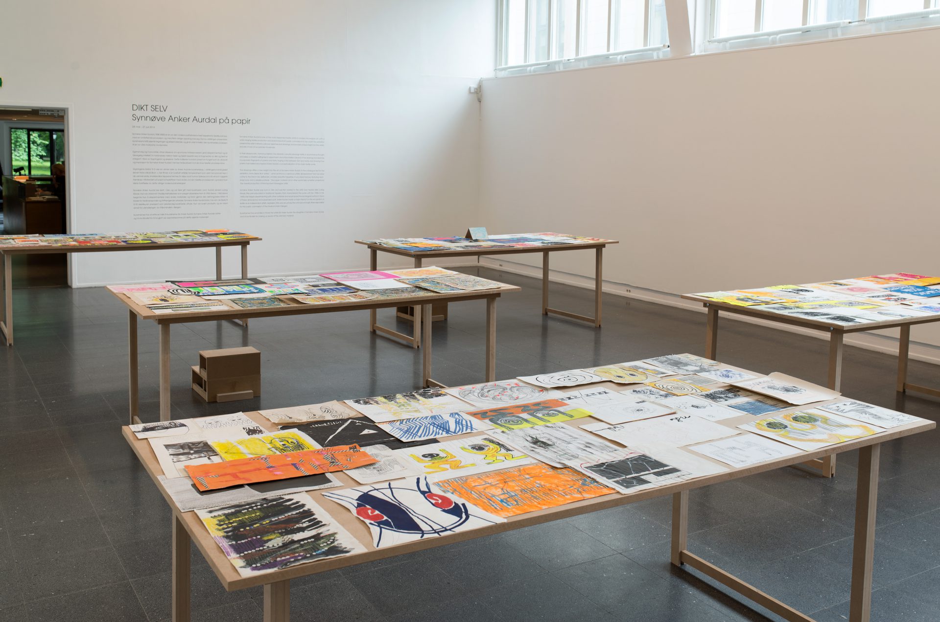 2014 Anker Aurdal Rom 4676 Edited