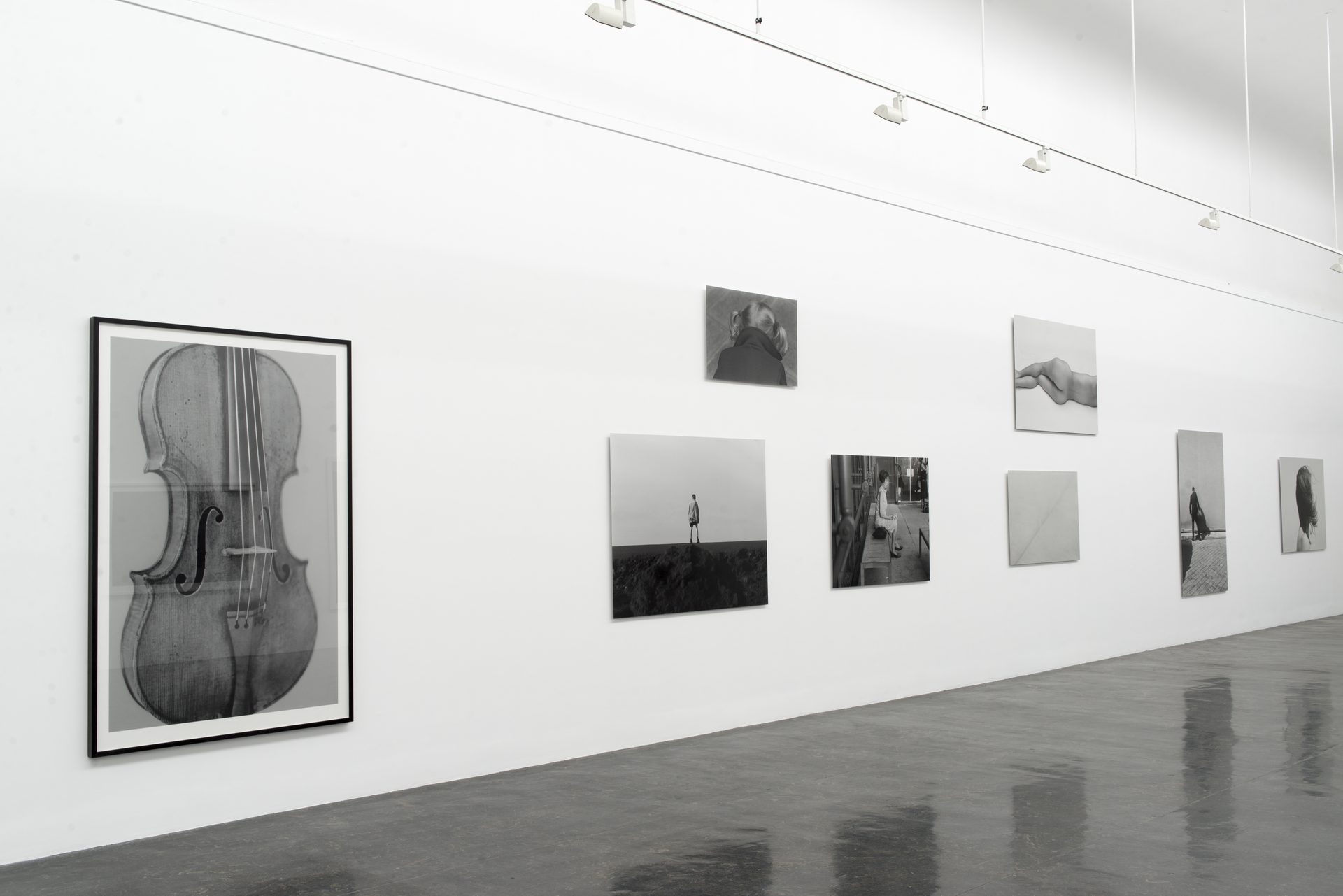 2015 Sandberg Sal V 8376