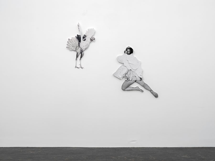 2019-03-Frida-Orupabo-Vegard-Kleven016-HDR