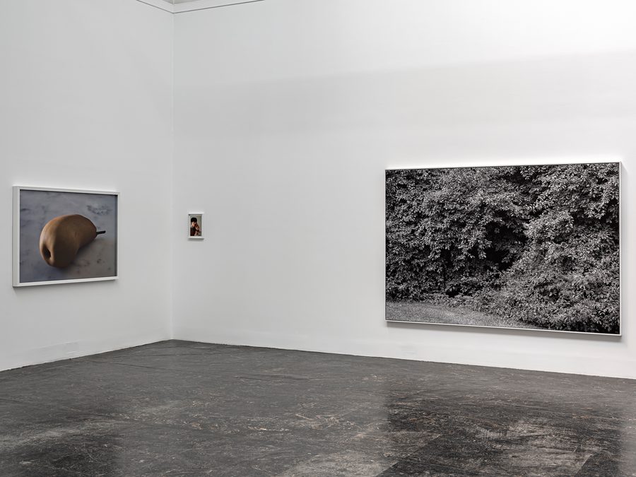 2019-06-Vegard-Kleven-8893-HDR