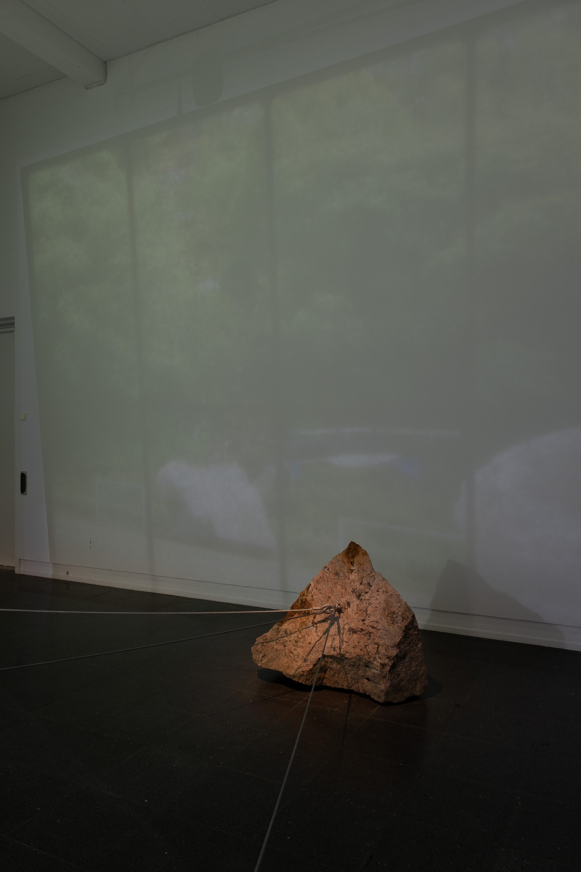 2024 Eli Mai Huang Nesse Naerme Foto JPG Andren medium 8