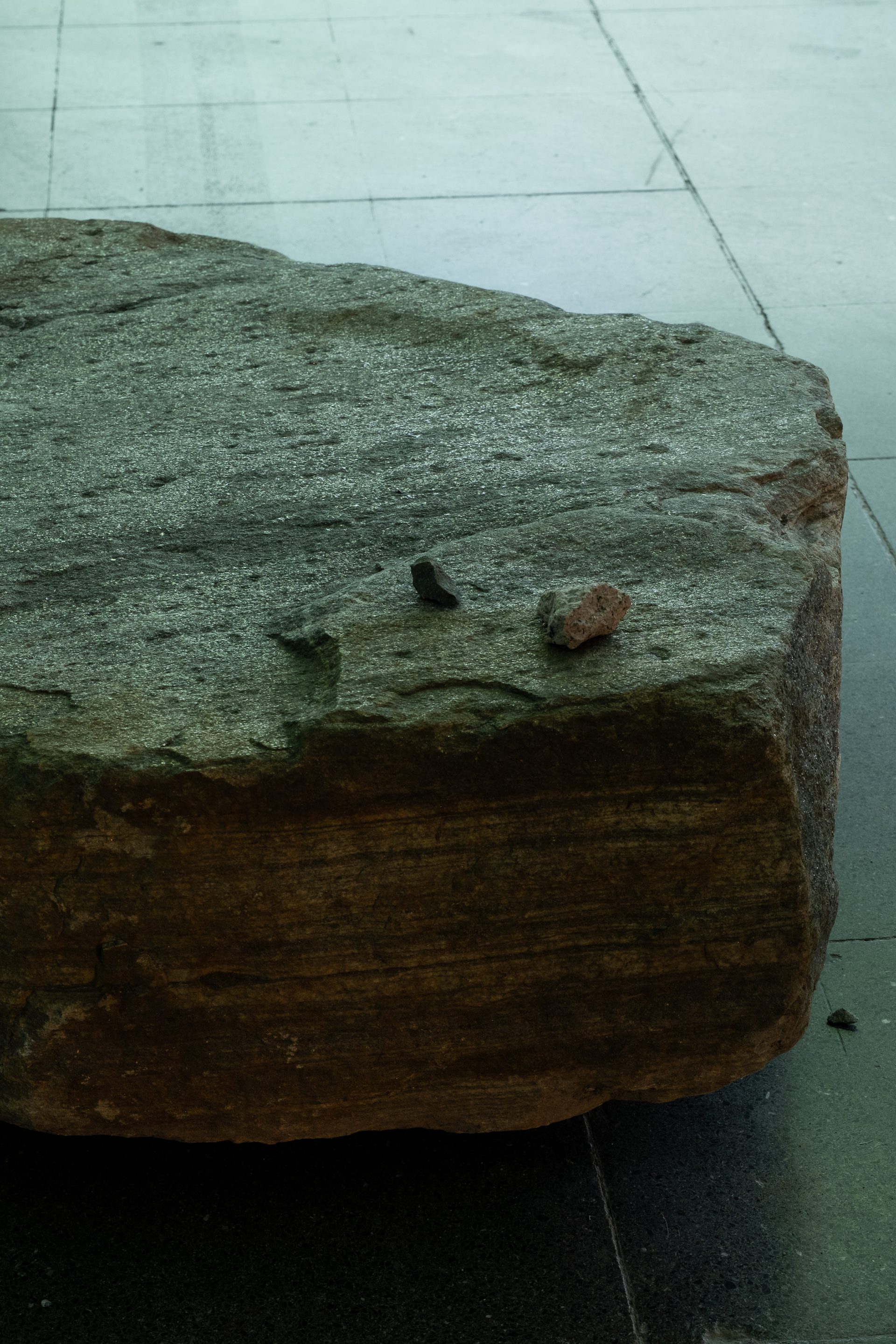 2024 Eli Mai Huang Nesse Naerme Foto JPG Andren medium 9