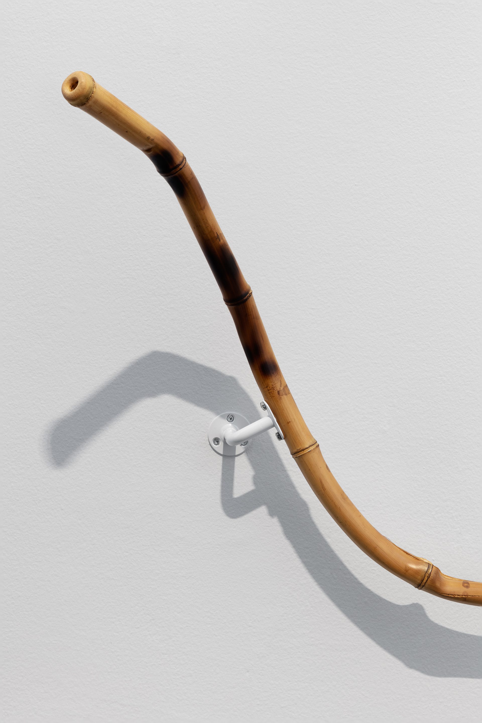 2024 02 KHUS Daisuke Kosugi Web Res 07