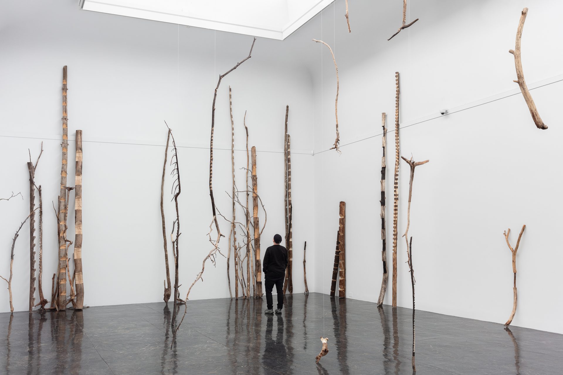 2025 Jannik Abel Back to the Land Web Res Foto Tor Ulstein Kunstdok 16