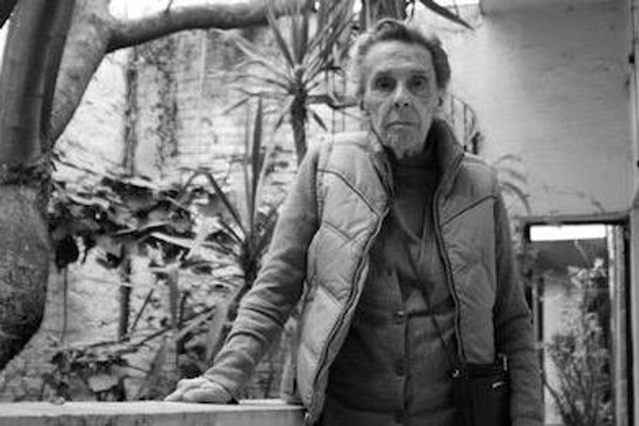 23755703_379653499142579_3156962944376850514_n