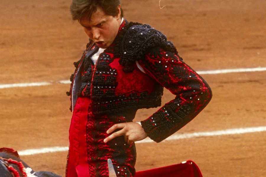 Afternoons of Solitude