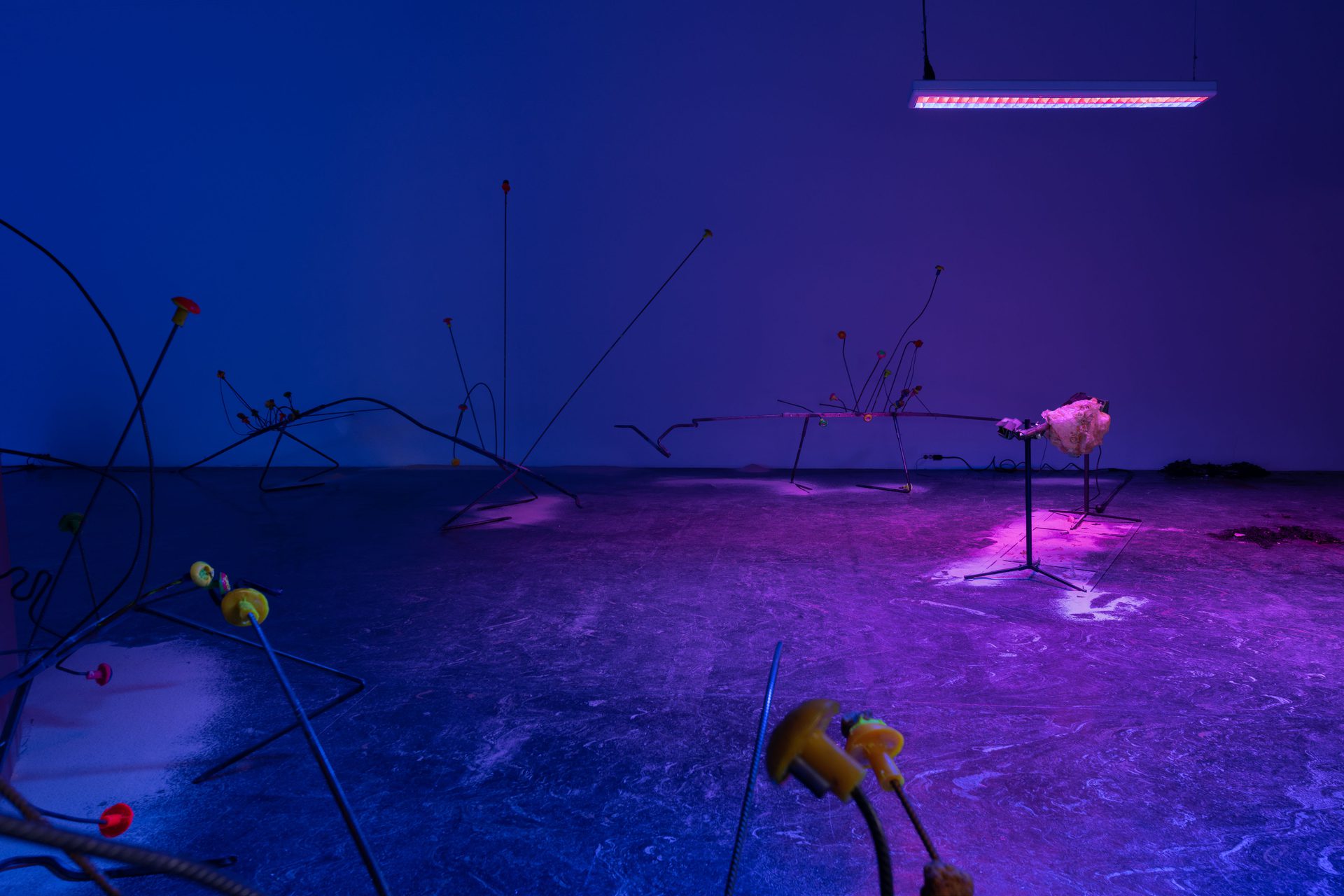 Annalise KHIO Kunstakademiet Avgang 2022 Web Res 42