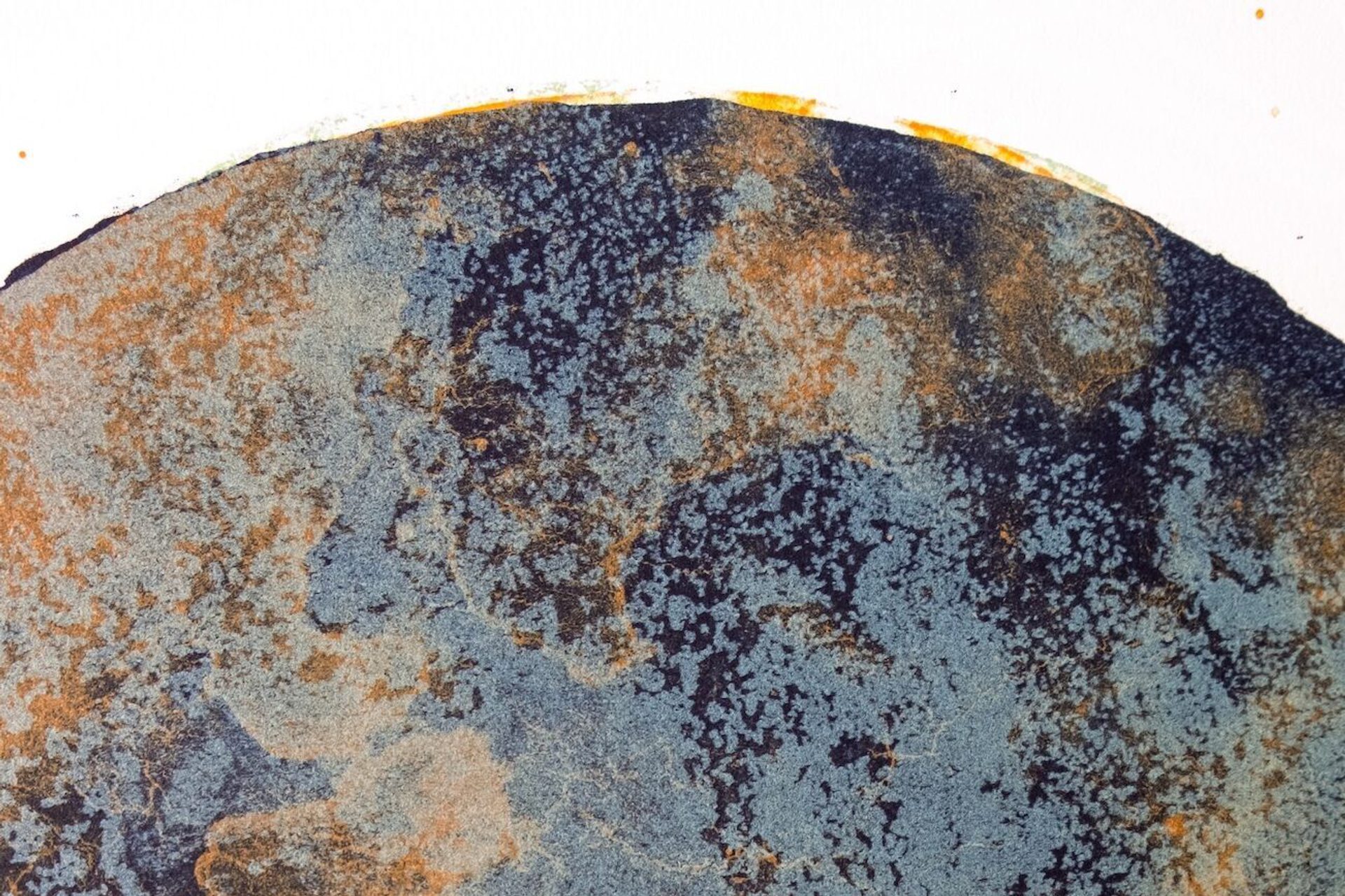 Cristina Mariani Martine Aadne Gulliksen