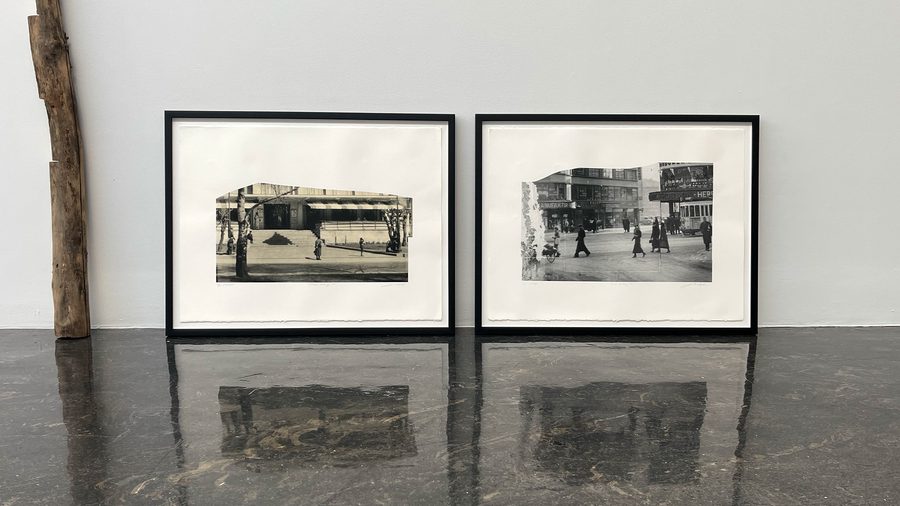 Edisjoner Jannik Abel