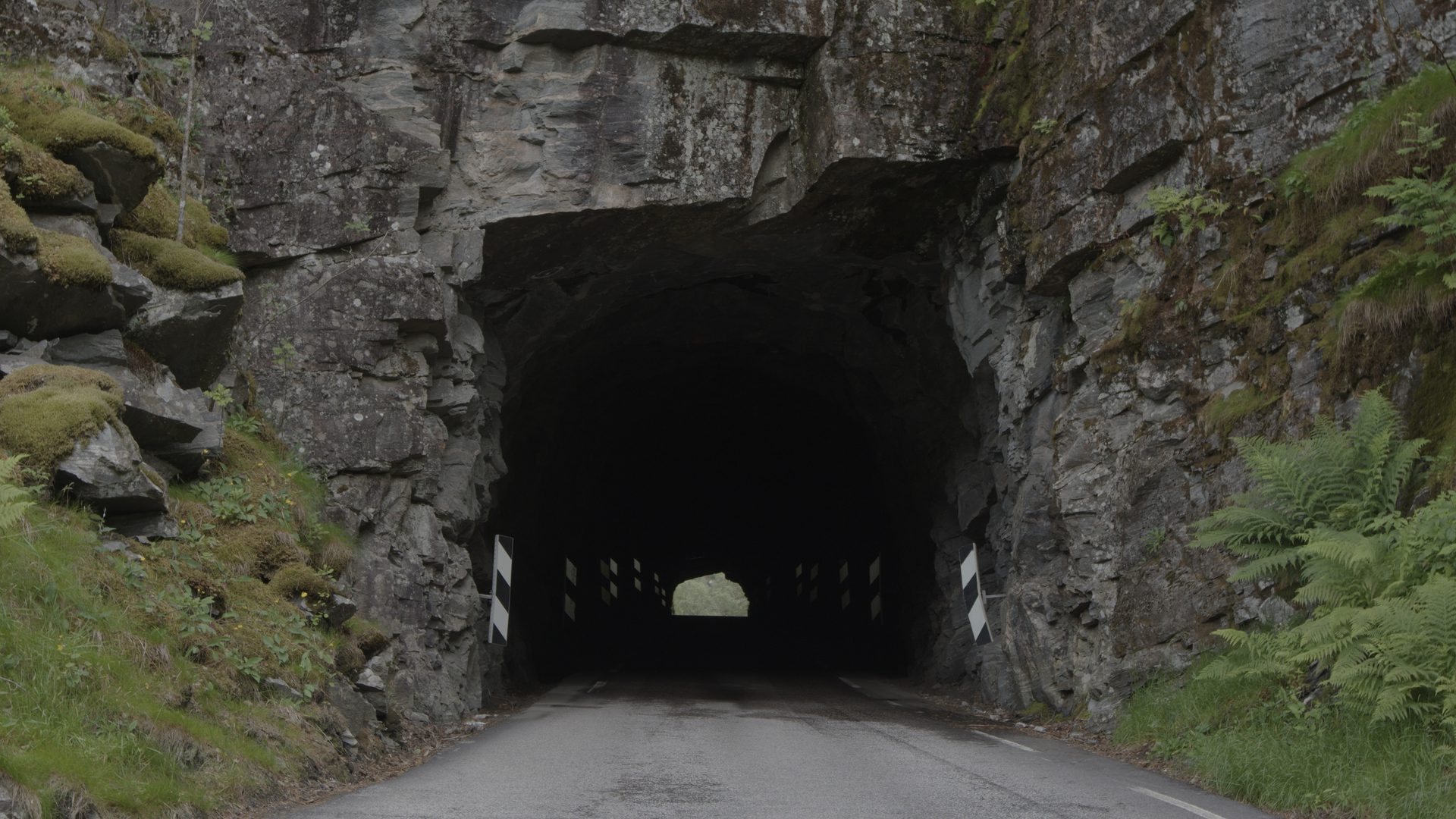 Eli Mai Huang Nesse Stillbilde fra ny film 6