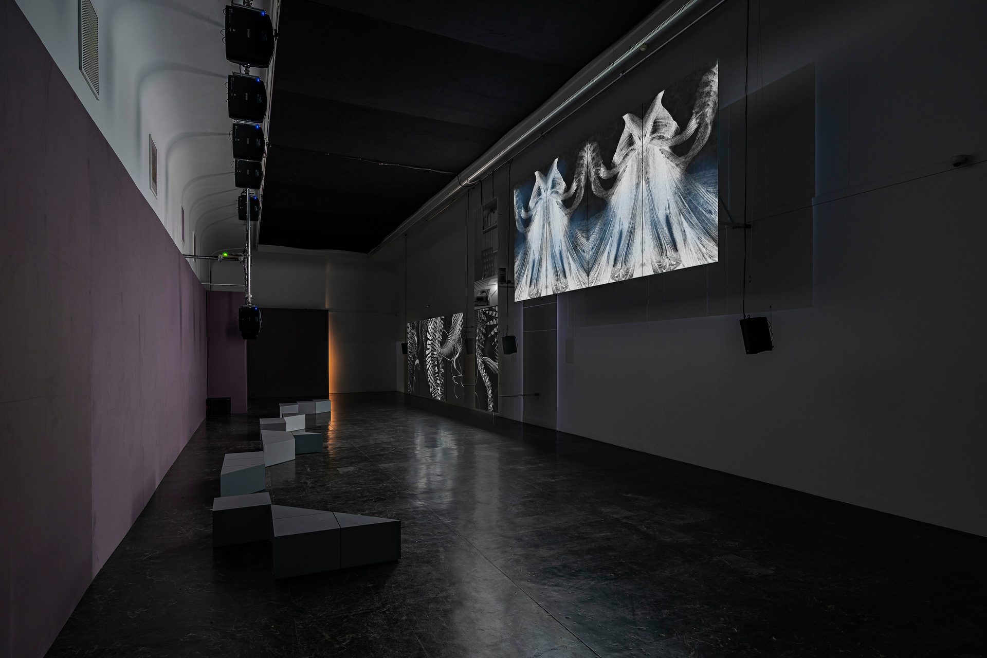 Elizabeth Price SLOW DANS DSF8421