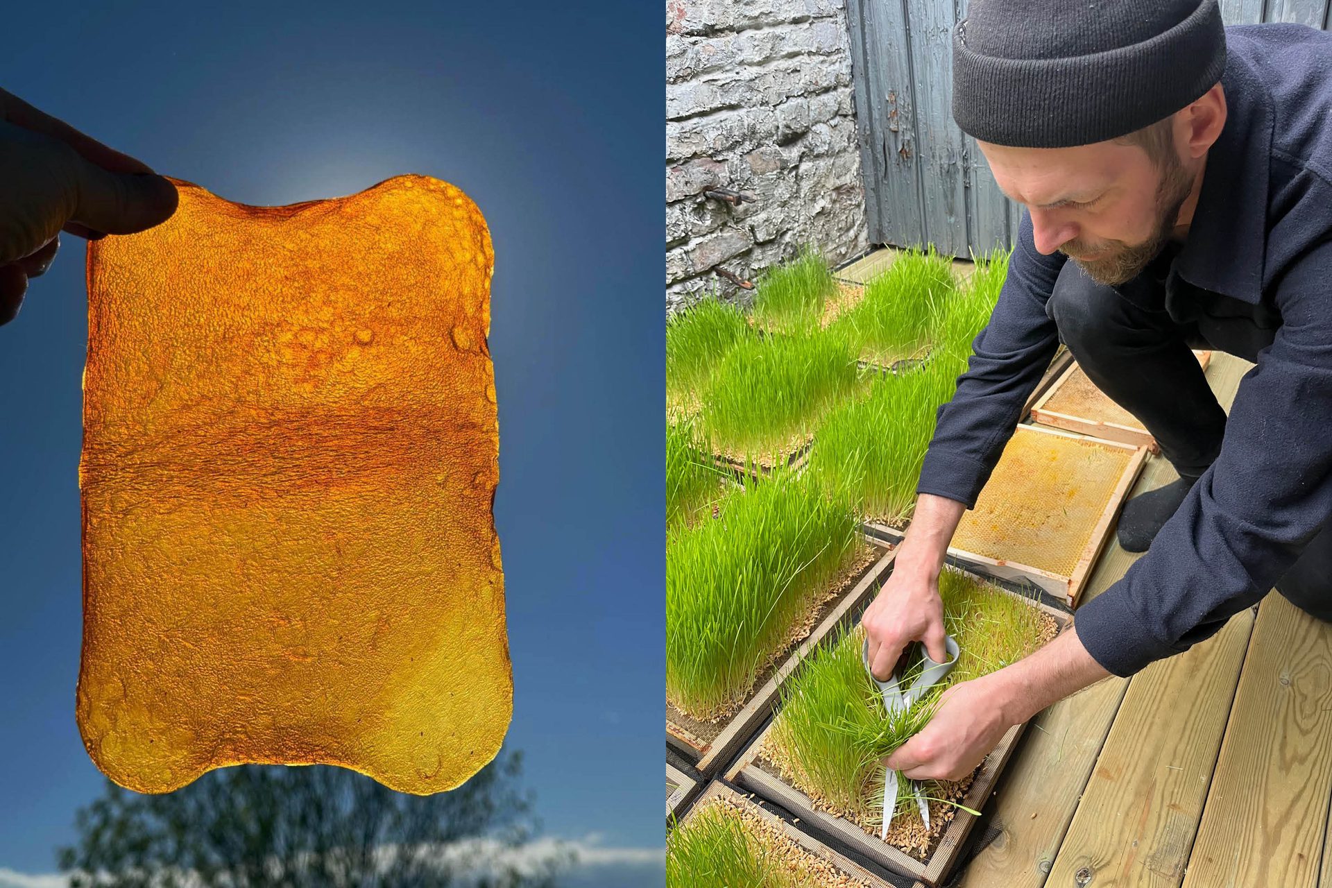 Fermentation and Collective Wellbeing Paweł Stypuła JPG