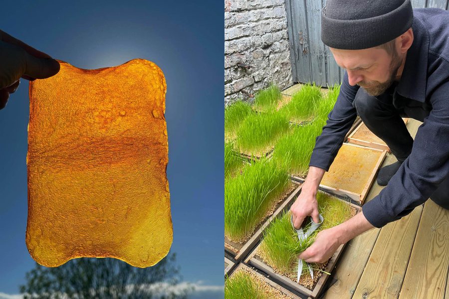 Fermentation and Collective Wellbeing Paweł Stypuła JPG