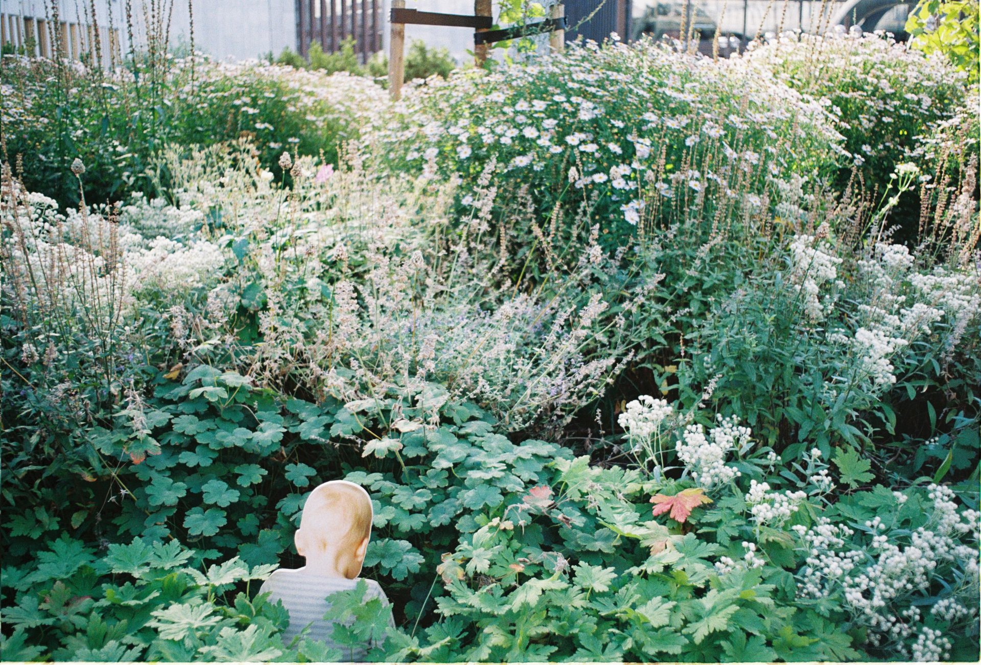 Home to the audience