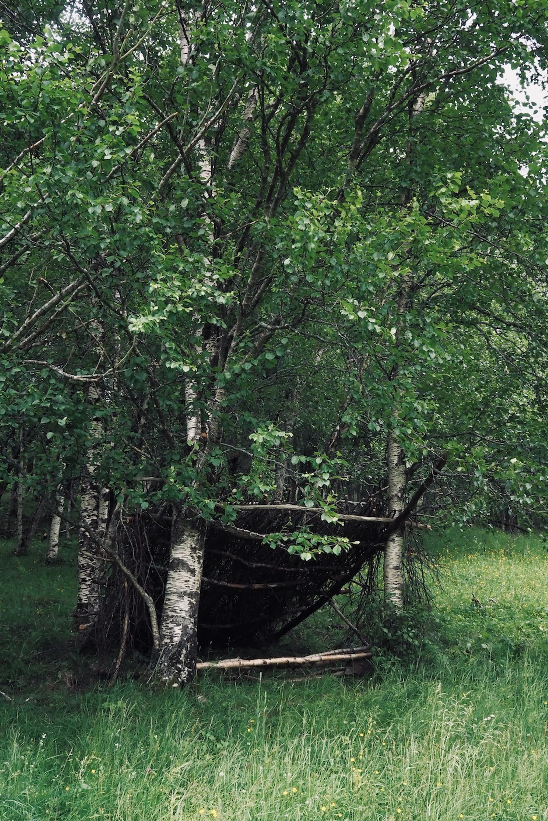 Jannik Abel Skogsvitner Leona Kjerringøy Foto Jannik Abel