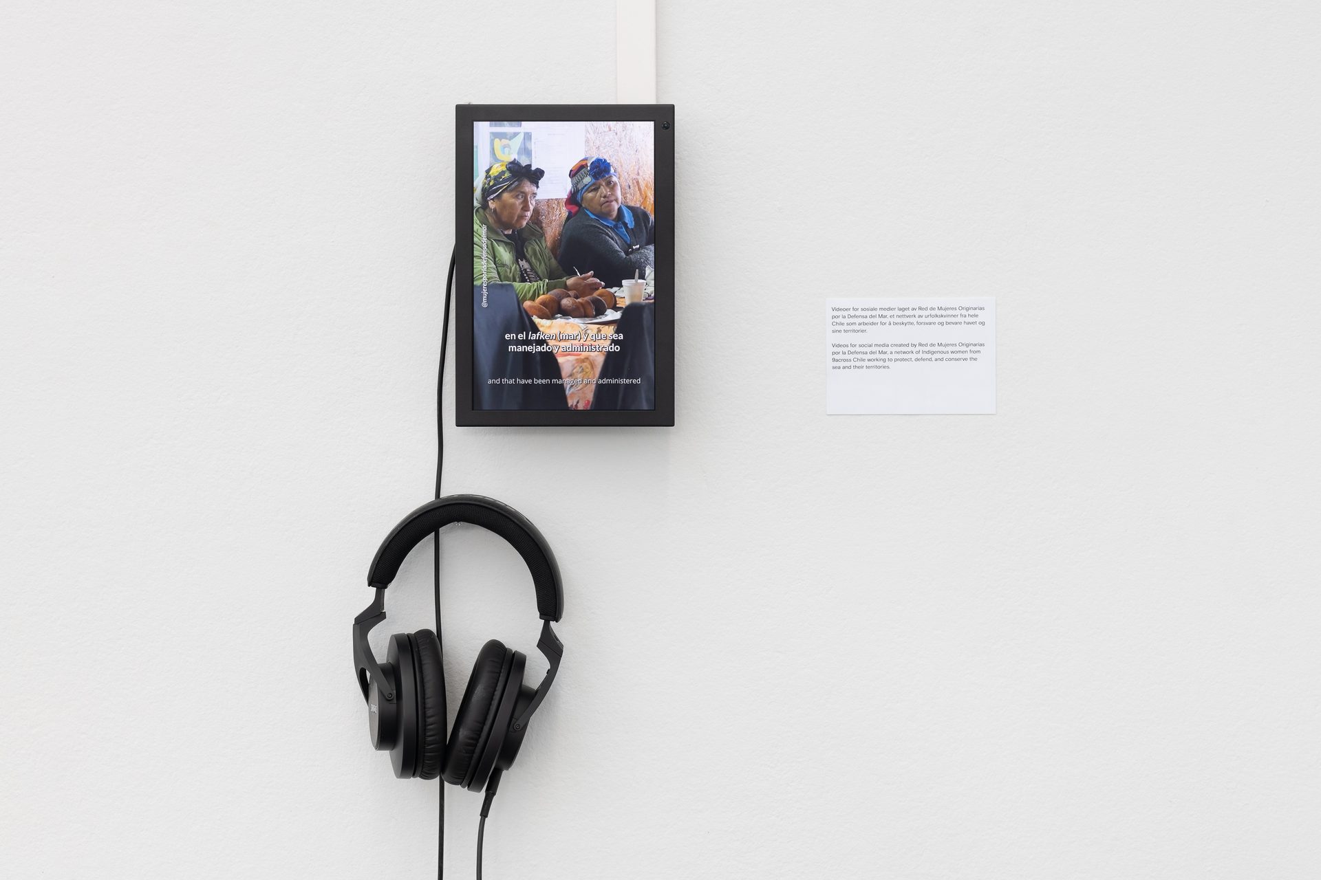 Kunstnernes Hus Cecilia Vicuna 2026 Istvan Virag Kunstdok Web Res 16