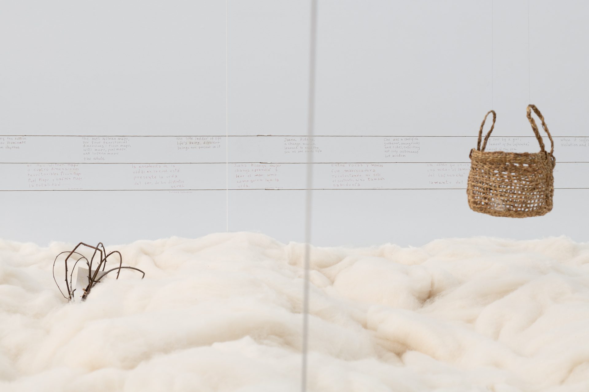 Kunstnernes Hus Cecilia Vicuna 2026 Istvan Virag Kunstdok Web Res 17