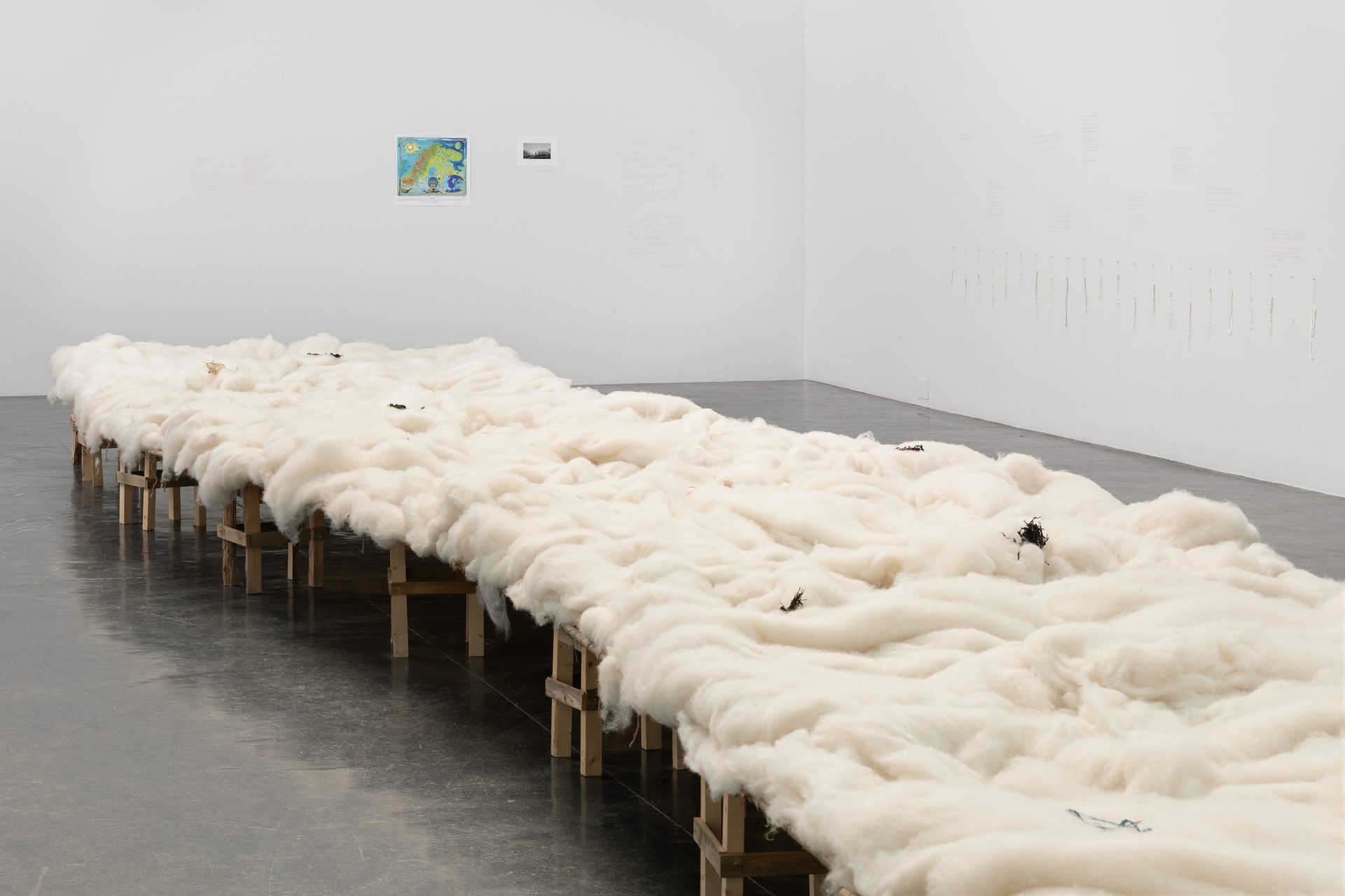 Kunstnernes Hus Cecilia Vicuna 2026 Istvan Virag Kunstdok Web Res 32