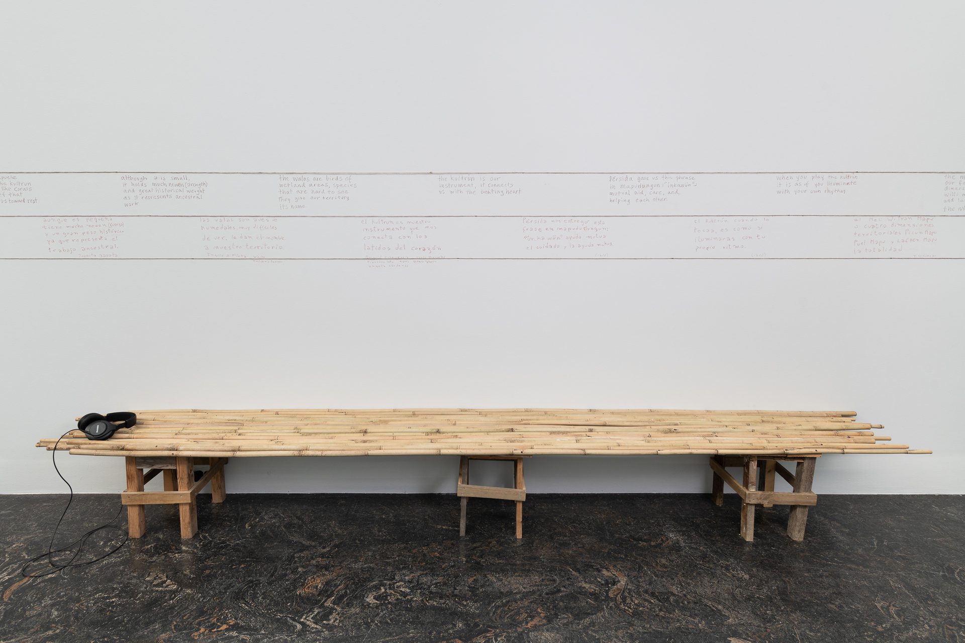 Kunstnernes Hus Cecilia Vicuna 2026 Istvan Virag Kunstdok Web Res 7