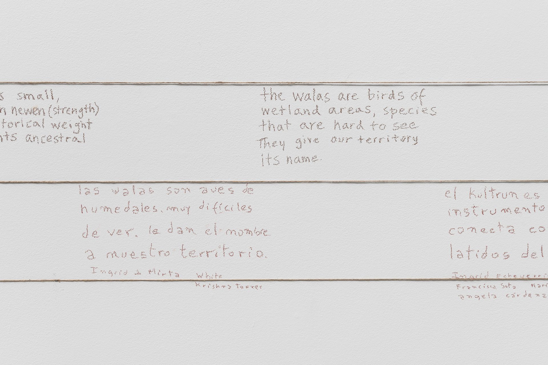 Kunstnernes Hus Cecilia Vicuna 2026 Istvan Virag Kunstdok Web Res 8
