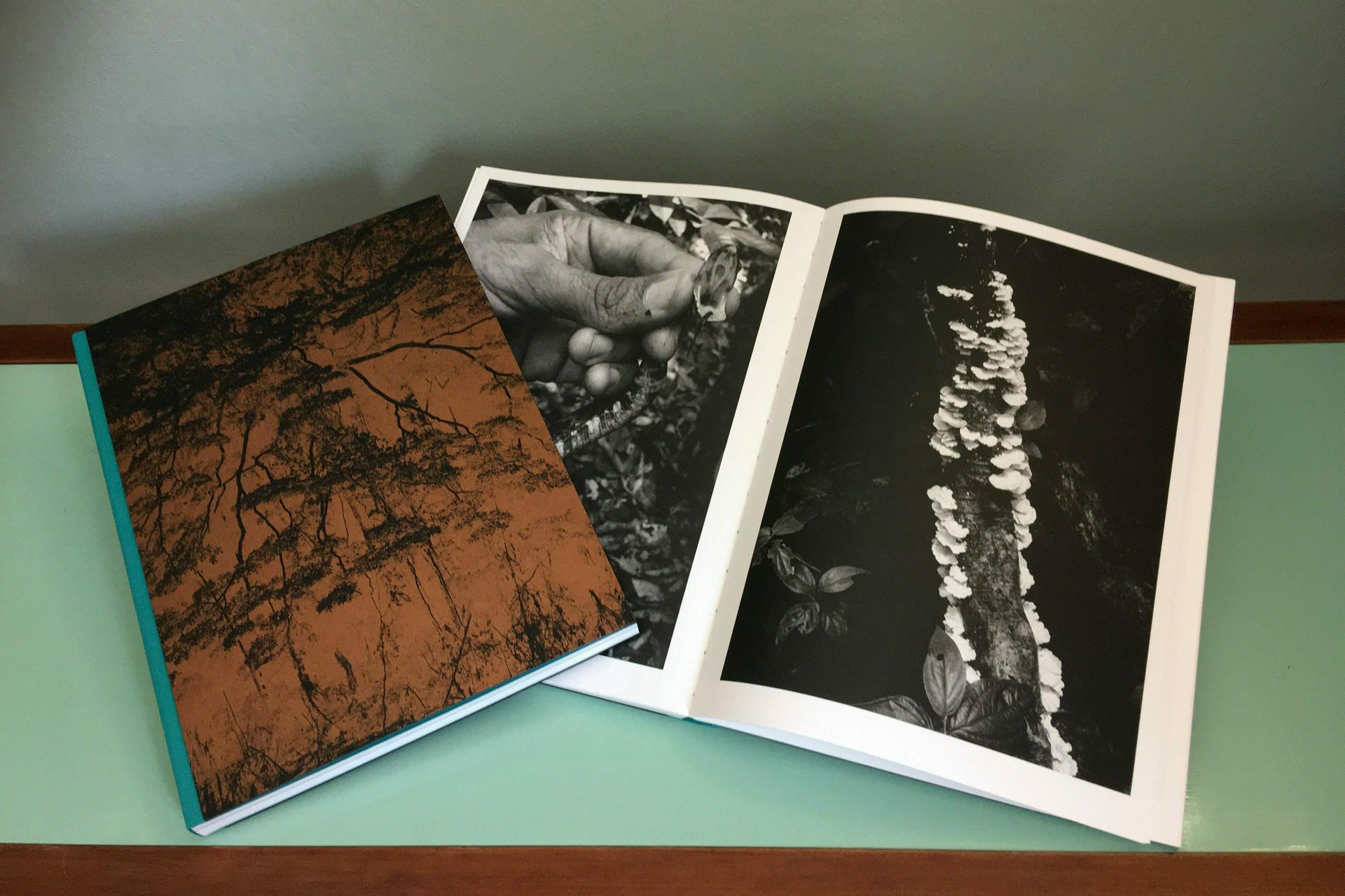 Lansering siri ekker