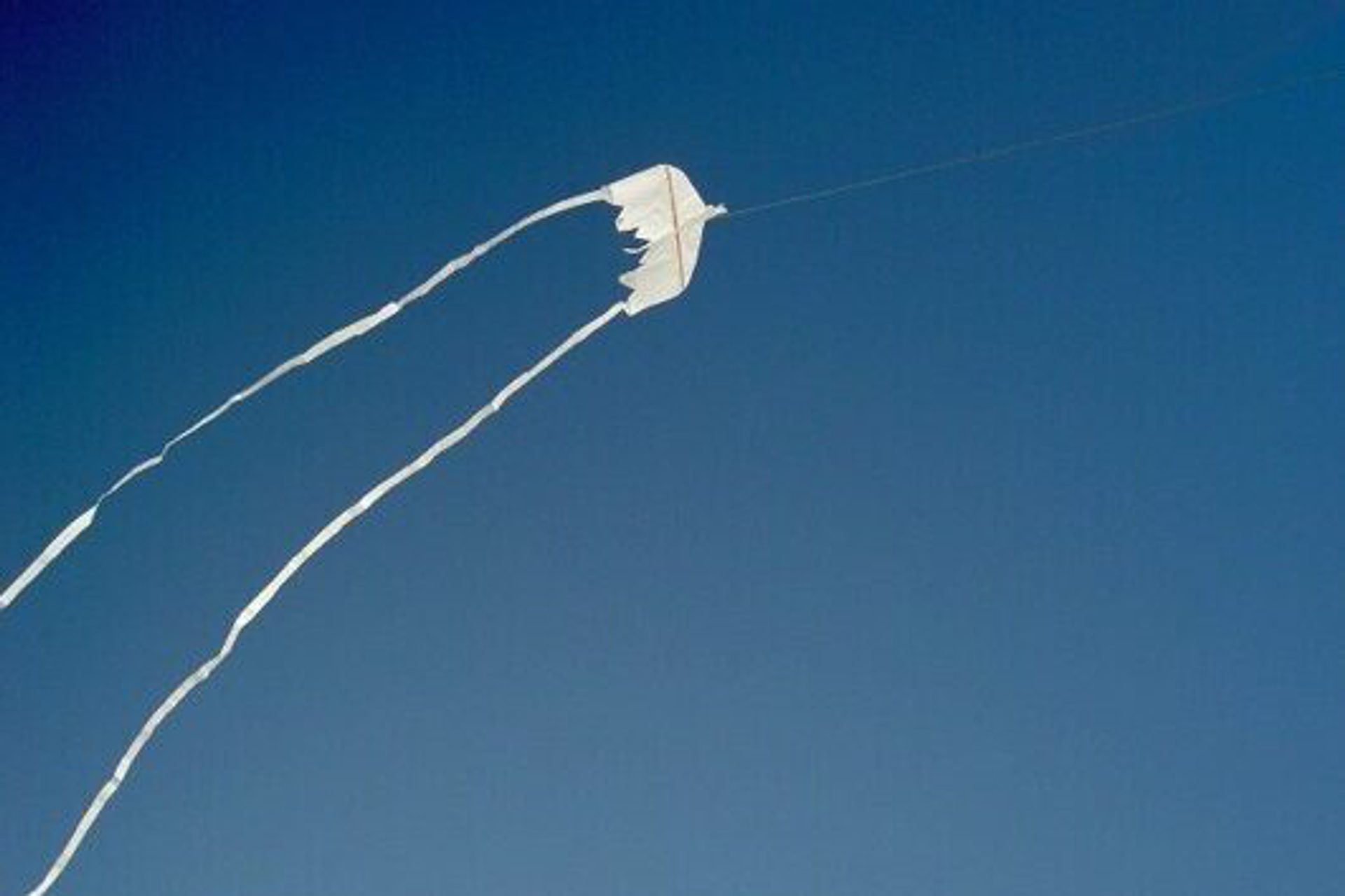 MAMBA image media 14 OCT2025