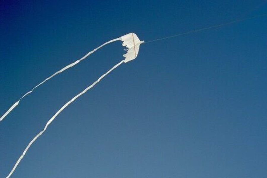 MAMBA image media 14 OCT2025