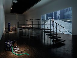 Panhans Winkler Freeroam à rebours Vegard Kleven c Kunstnernes Hus DSF8443