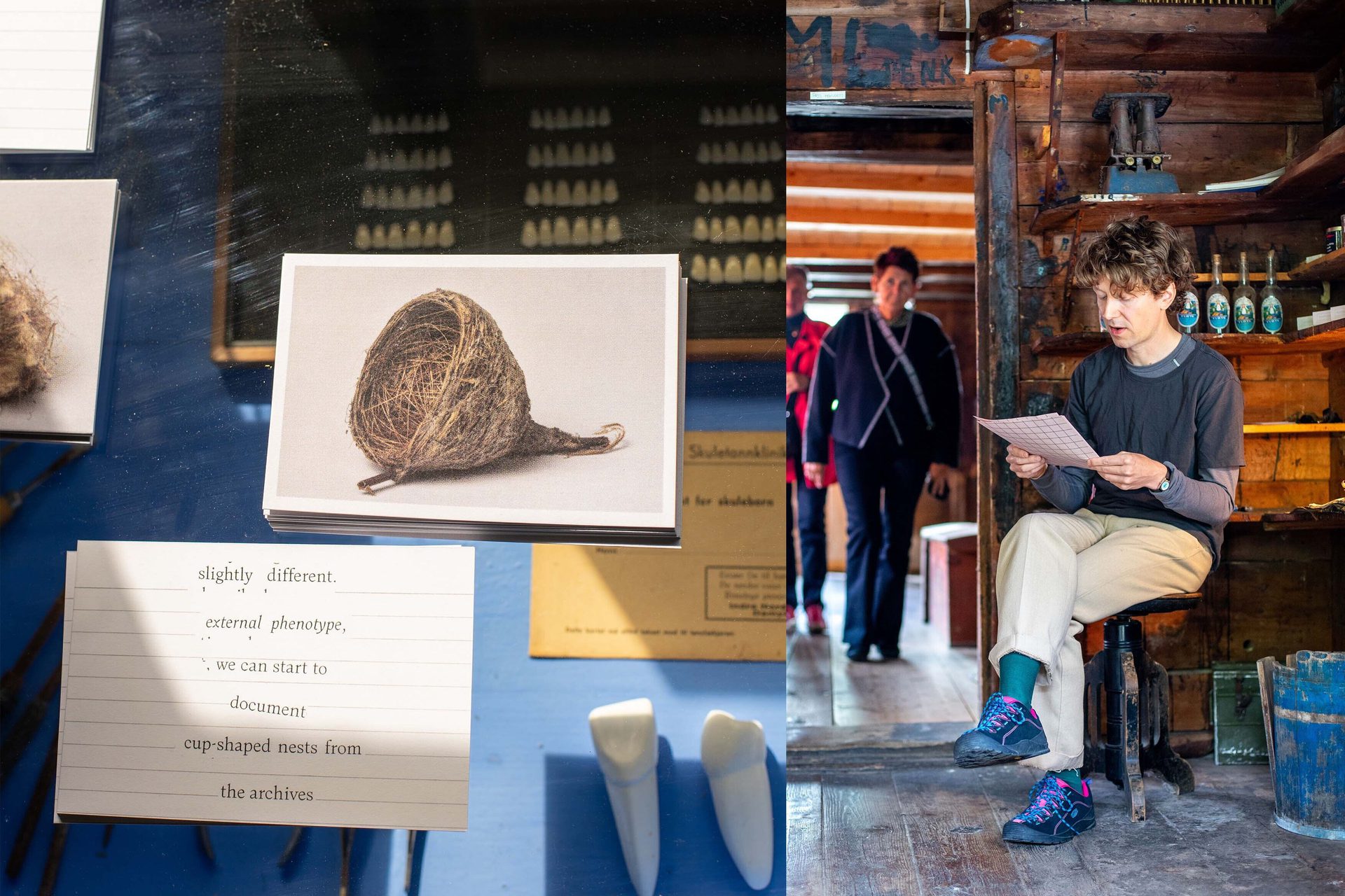 Robert Carter Workshop