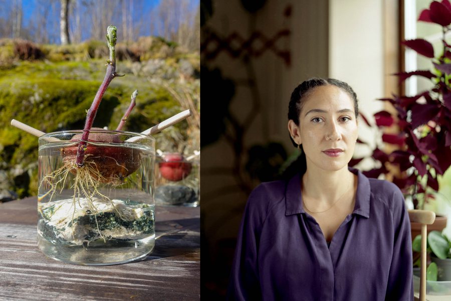 Roots credit Amber Ablett Linn Heidi Stokkedal