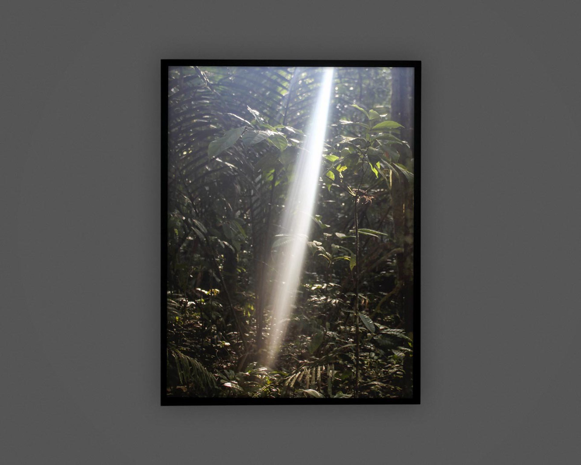 Santiago Diaz Escamilla That from which things become manifest 01 01 2022 Web