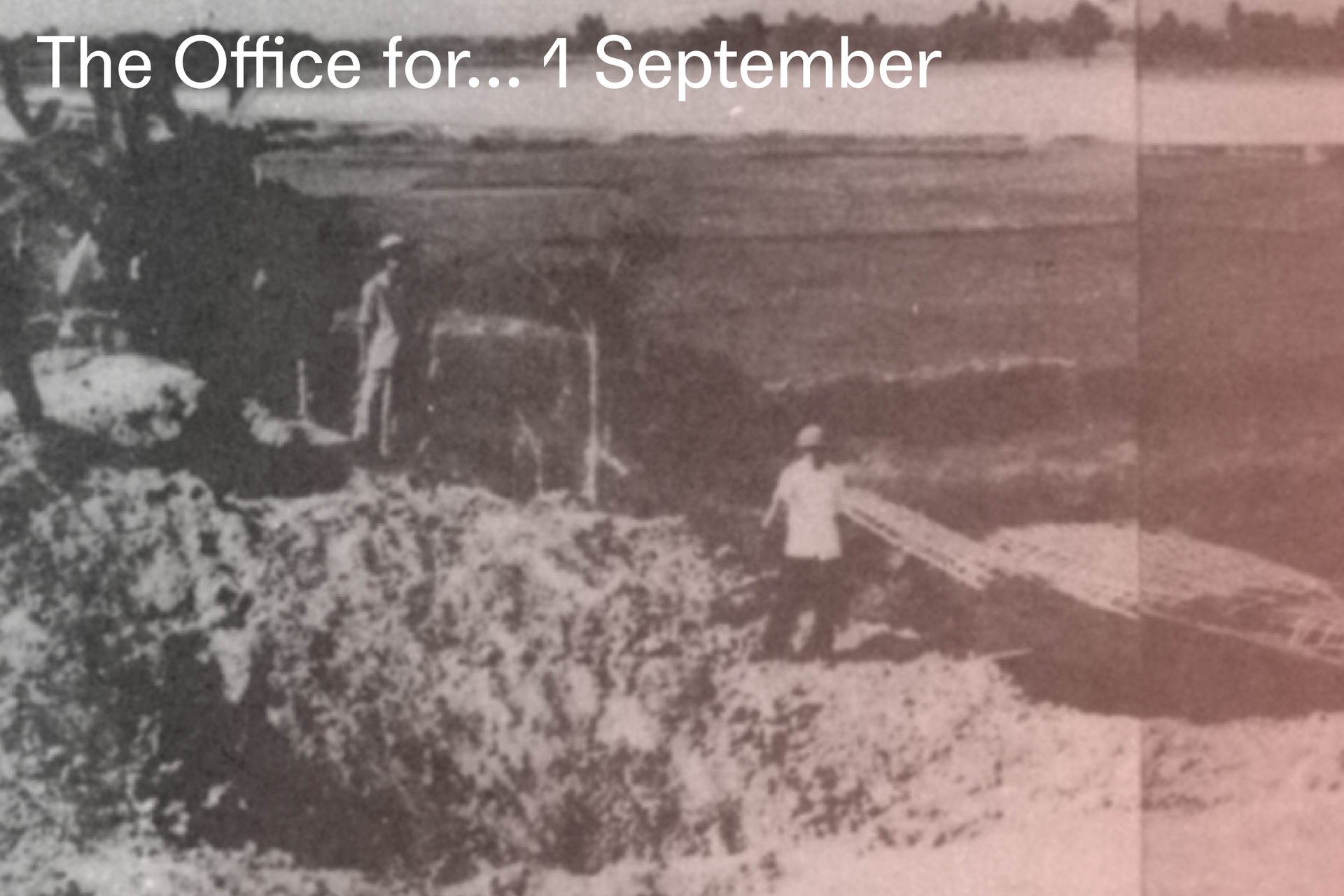 The Office for 1 September