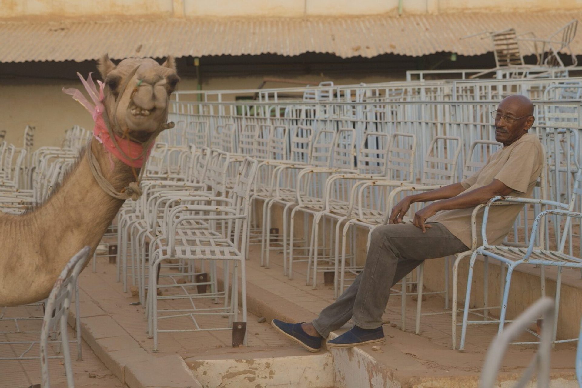 Capture 01561512174137