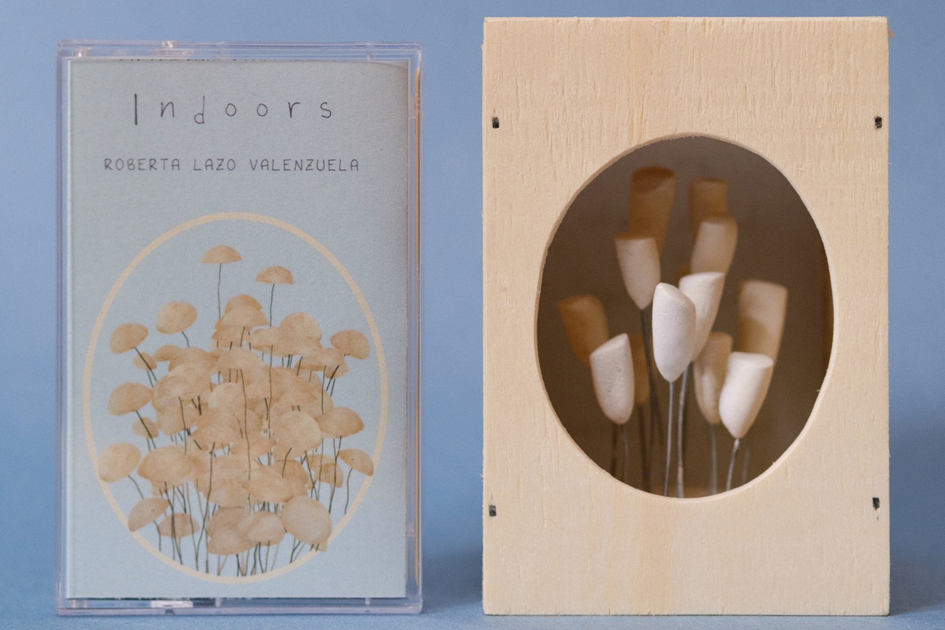 Indoors roberta lazo valenzuela